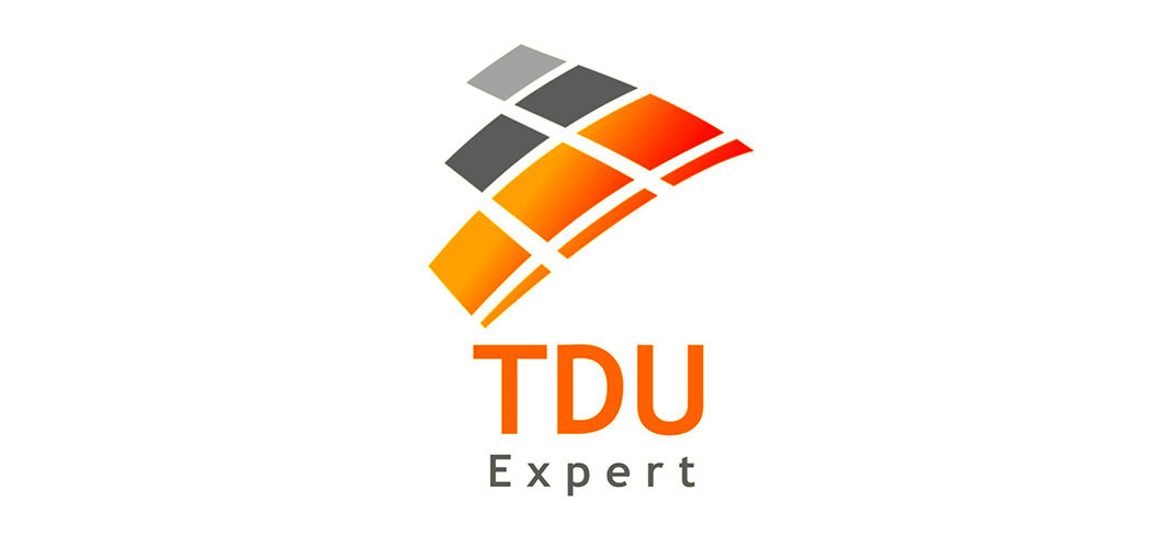 logo tdu expert-web